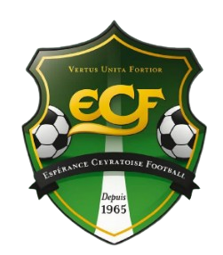 foot-removebg-preview